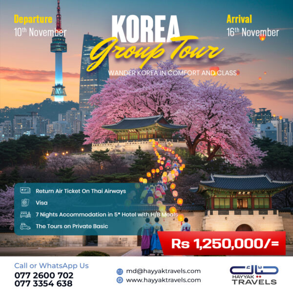 Hayyak Travels_Korea